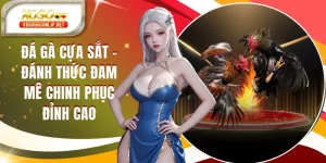 Đá Gà XOSO66 Đỉnh Cao Với Những Trận Đấu Nghẹt Thở - viero.bet