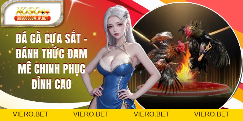 Đá Gà Cựa Sắt - Đánh Thức Đam Mê Chinh Phục Đỉnh Cao - viero.bet
