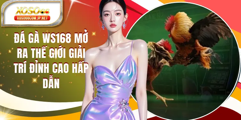 Đá Gà WS168 Mở Ra Thế Giới Giải Trí Có 1-0-2 - viero.bet