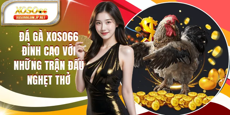 Đá Gà XOSO66 Đỉnh Cao Với Những Trận Đấu Nghẹt Thở - viero.bet Đá Gà XOSO66 Đỉnh Cao Với Những Trận Đấu Nghẹt Thở - viero.bet
