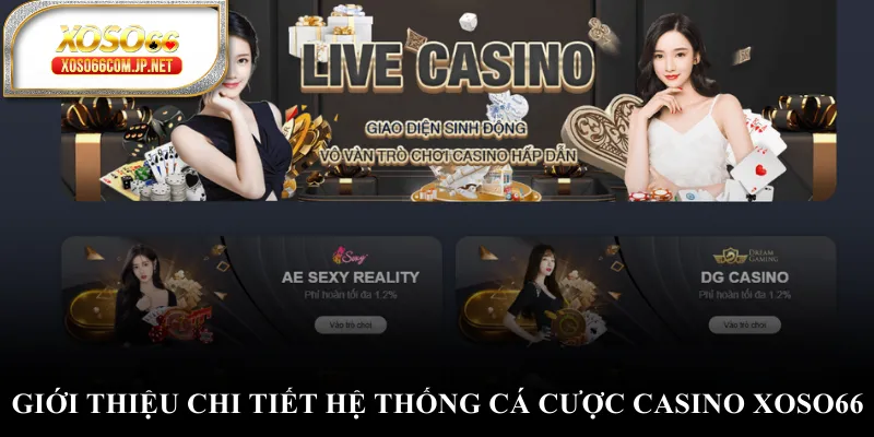 Casino XOSO66 - Sảnh Cược Đỉnh Cao Nhất Châu Á - viero.bet Casino XOSO66 - Sảnh Cược Đỉnh Cao Nhất Châu Á - viero.bet