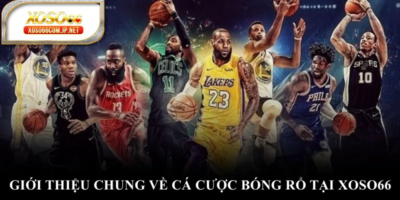 Cá Cược Bóng Rổ - Cách Làm Chủ Đấu Trường Sôi Động - viero.bet