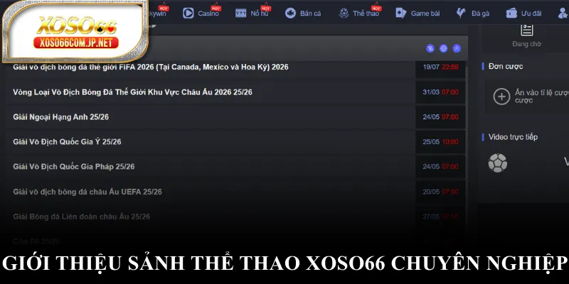 Thể Thao XOSO66 - Khơi Dậy Đam Mê Chinh Phục Cá Cược - viero.bet Thể Thao XOSO66 - Khơi Dậy Đam Mê Chinh Phục Cá Cược - viero.bet