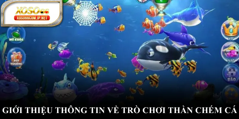 Thần Chém Cá - Bắn Cá Online Tỷ Lệ Thưởng Cao - viero.bet