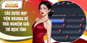 Hướng Dẫn XOSO66 Giúp Chinh Phục Mọi Cuộc Chơi - viero.bet
