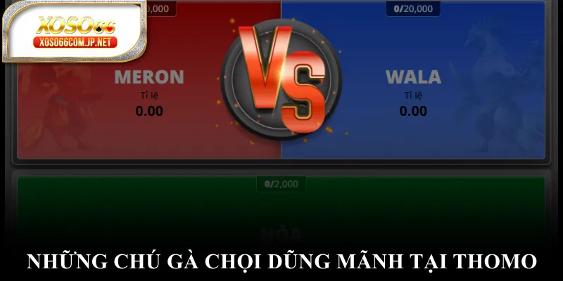 Đá Gà XOSO66 Đỉnh Cao Với Những Trận Đấu Nghẹt Thở - viero.bet Đá Gà XOSO66 Đỉnh Cao Với Những Trận Đấu Nghẹt Thở - viero.bet