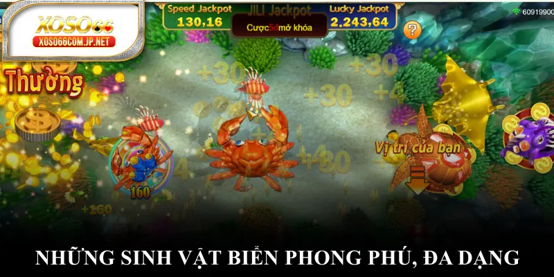 Câu Cá JackPot - Hành Trình Săn Tìm Kho Báu Đại Dương - viero.bet