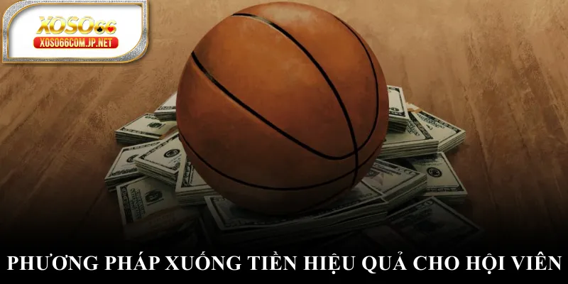 Cá Cược Bóng Rổ - Cách Làm Chủ Đấu Trường Sôi Động - viero.bet