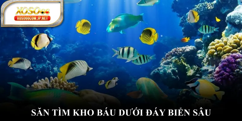 Nổ Hũ XOSO66 - Chinh Phục Kho Báu Khổng Lồ Hấp Dẫn - viero.bet Nổ Hũ XOSO66 - Chinh Phục Kho Báu Khổng Lồ Hấp Dẫn - viero.bet