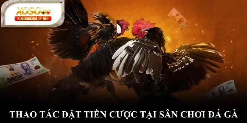 Đá Gà WS168 Mở Ra Thế Giới Giải Trí Có 1-0-2 - viero.bet