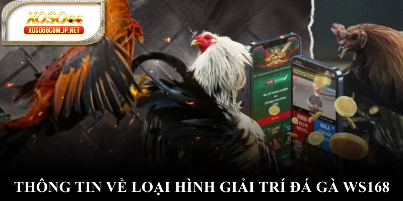 Đá Gà WS168 Mở Ra Thế Giới Giải Trí Có 1-0-2 - viero.bet