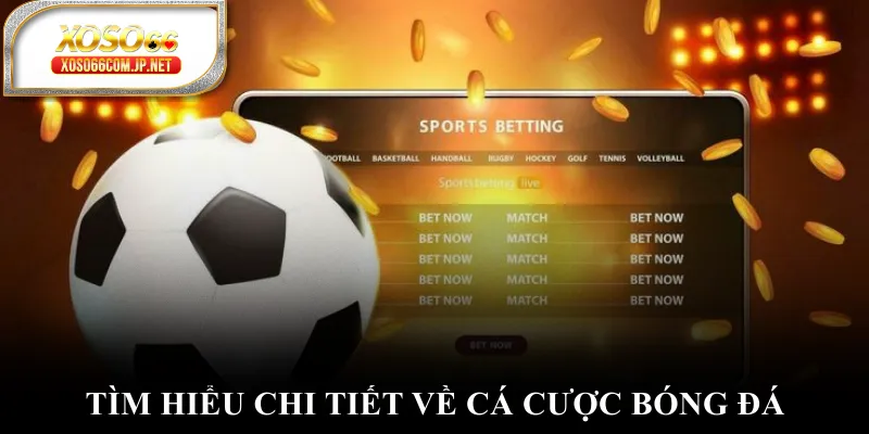 Cá Cược Bóng Đá - Nghệ Thuật Chinh Phục Chiến Thắng - viero.bet Cá Cược Bóng Đá - Nghệ Thuật Chinh Phục Chiến Thắng - viero.bet