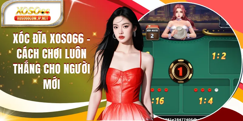 Xóc Đĩa XOSO66 Và Bộ Nguyên Tắc Vàng Chơi Luôn Thắng - viero.bet