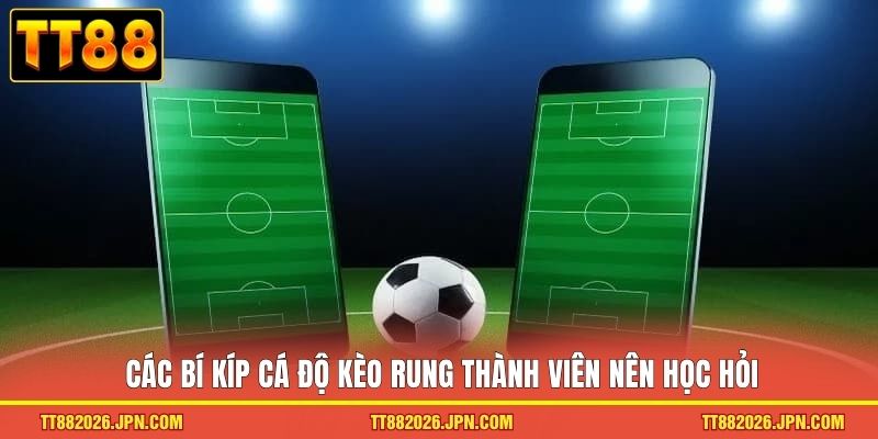 Kèo Rung - Loại Hình Cá Độ Kịch Tính Cho Hội Viên TT88 - viero.bet