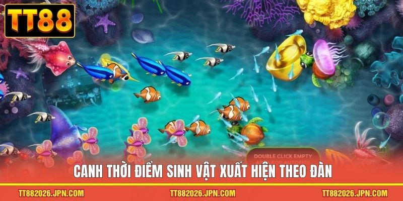 Jili Bắn Cá TT88 Ra Khơi Khám Phá Đại Dương Kho Báu Khủng - viero.bet