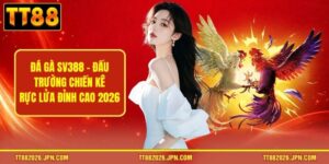 BLOG - viero.bet