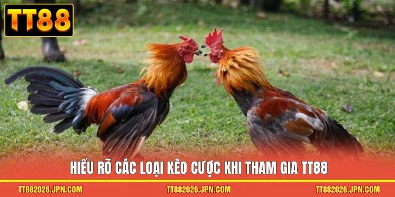 Đá Gà TT88 - Top 1 Sảnh Cược Xanh Chín Với 500k Lượt Chơi  - viero.bet