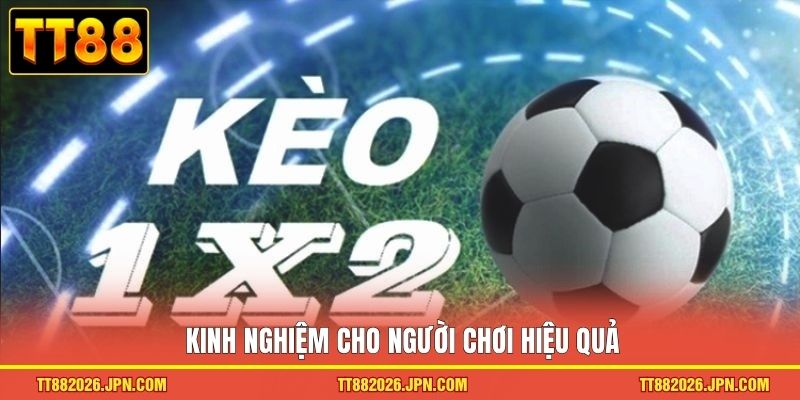 Kèo 1x2 TT88: Cách đọc Kèo Và Chiến Lược Cược Chuẩn - viero.bet Kèo 1x2 TT88: Cách đọc Kèo Và Chiến Lược Cược Chuẩn - viero.bet