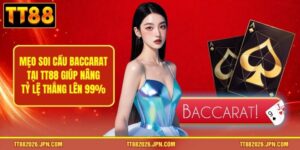 BLOG - viero.bet