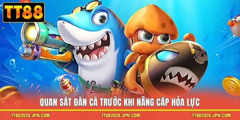 Mẹo Chơi Bắn Cá TT88 Giúp Bạn Săn Thưởng Cực Dễ Dàng - viero.bet Mẹo Chơi Bắn Cá TT88 Giúp Bạn Săn Thưởng Cực Dễ Dàng - viero.bet