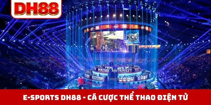 Sản phẩm - viero.bet
