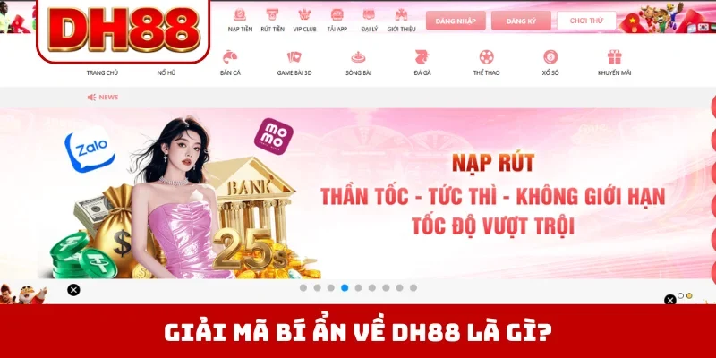 DH88 Là Gì? Có Uy Tín Không? Nền Tảng Hoạt Động Như Thế Nào? - viero.bet
