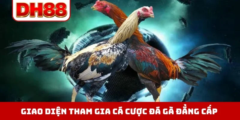 Đá Gà DH88 - Xem Trực Tiếp Chọi Kê Thomo Hôm Nay Full HD - viero.bet